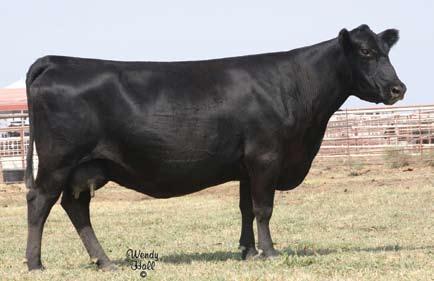 She sells due 1/5/09 to TC Total 410. Examined safe. O&M First Lady 8105 of 1032 - This Pathfinder sells as Lot 22.