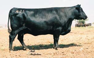 Spring Pairs Silveiras Ruth 8106 - She sells as Lot 52A.