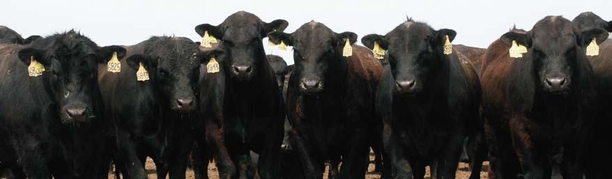 as well as scheduling ultrasounding, semen-testing and transportation.