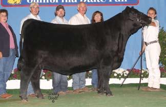 72 Silveiras Elba 6573 - Maternal sister to Lots 1 and 1A and Supreme Champion over all breeds 2008 California State Fair Open Show as well as