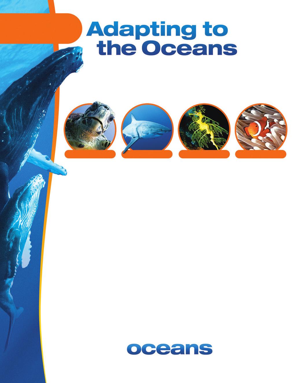 ACTIVITY 3 In the Disneynature film OCEANS you visit a coral reef. The animals that live in a coral reef have adaptations that allow them to survive there.