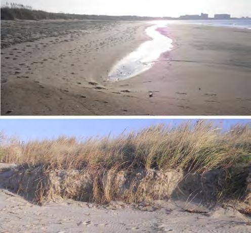 Figure 11. Photos taken at VB in November 1 approximately one month after Hurricane Sandy. Figure 1.