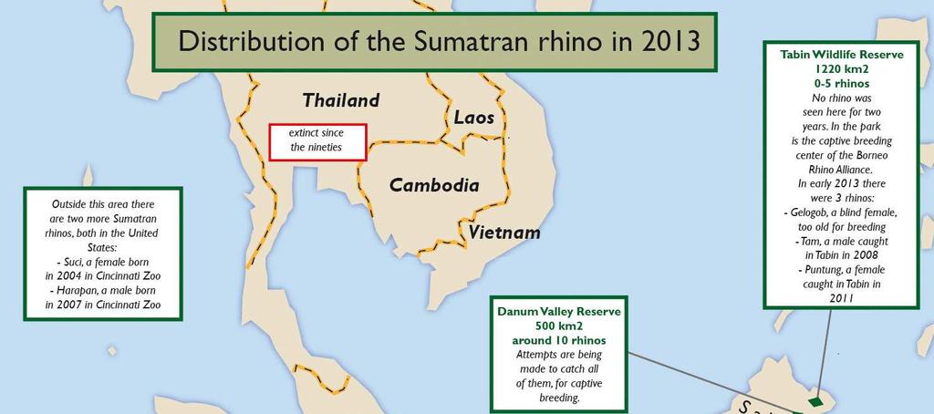 The world s most threatened mammal, the Sumatran rhino, can still be found in three areas in Sumatra, one, possibly two in the Malaysian