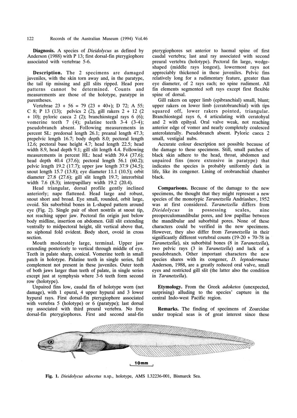 122 Records of the Australian Museum (1994) Vo1.46 Diagnosis. A species of Dieidolycus as defined by Anderson (1988) with P 13; first dorsal-fin pterygiophore associated with vertebrae 5-6.