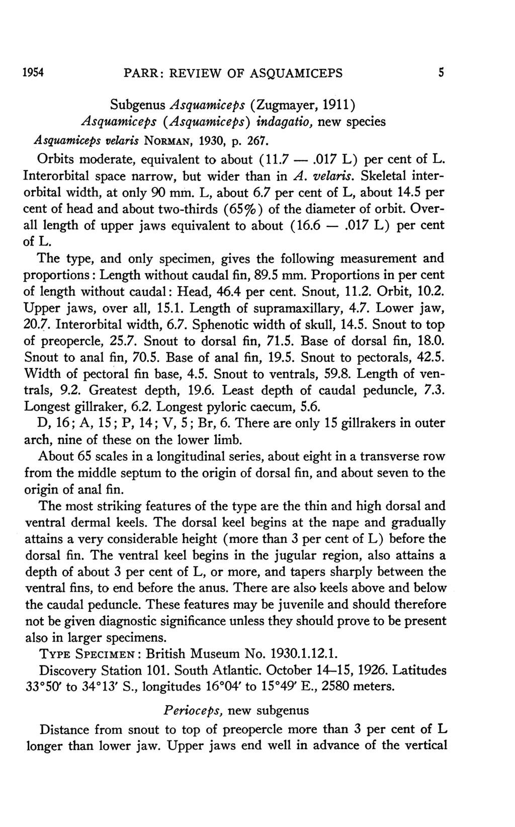 1954 PARR: REVIEW OF ASQUAMICEPS 5 Subgenus Asquamiceps (Zugmayer, 1911) Asquamiceps (Asquamiceps) indagatio, new species Asquamiceps velaris NORMAN, 1930, p. 267.