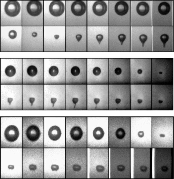 FIG. 4. Pictue sequences of the behavio of a lase-induced bubble nea a igid wall in wate and polyme solutions fo c ¼ 3.17. Top: wate, max ¼ 0.63 mm; Middle: 0.