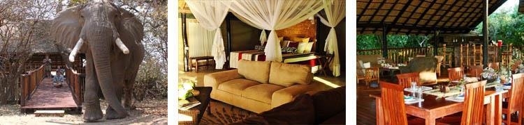 The main lodge area is set in a canopy of the riverine trees on the bank of the Zambezi River.