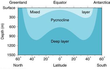 on water density: Mixed layer Pycnocline (rapid