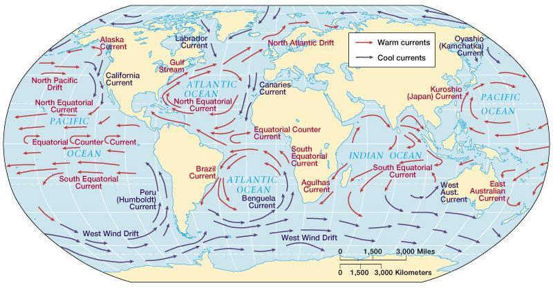 Surface Currents Wind driven (caused by friction between water and moving