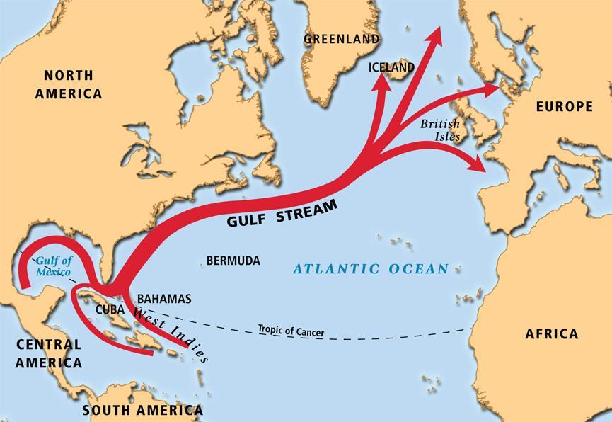 Gulf Stream The Gulf Stream is a strong, fast moving, warm ocean current that originates in the Gulf of