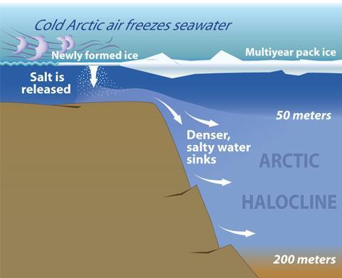 Thermohaline Circulation Water masses rise and fall because of density differences due