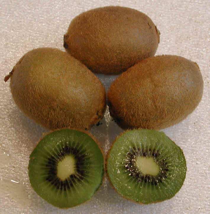 Kiwi: Growth Regulator Use 5% of the 1996 crop went unharvested due to small size.