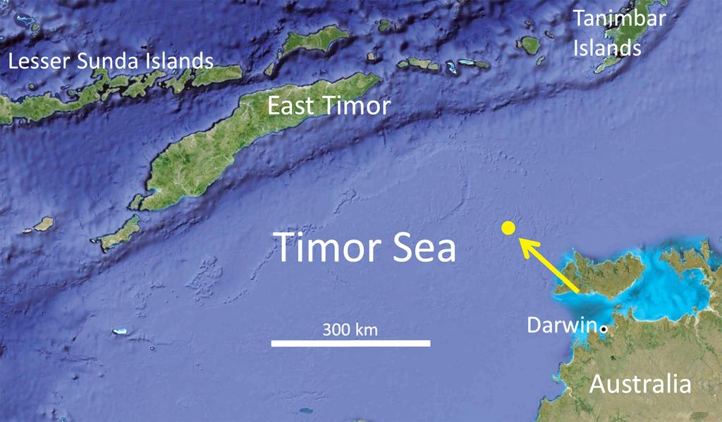 Figure 5. Map of Timor Sea showing collection locality (yellow spot) for type specimens of Cirrhilabrus greeni. Distribution and habitat.
