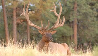 Note: The Grand Canyon Parashant, Vermilion Cliffs, Sonora Desert, Ironwood Forest and Agua Fria National Monuments are open to hunting. See notes in Commission Order 29 for additional closed areas.