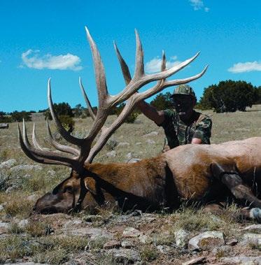 For details, contact the New Mexico elk biologist at (505) 476-8039. New Mexico Department of Game & Fish, Santa Fe, NM (505) 476-8039, www.wildlife.state.nm.