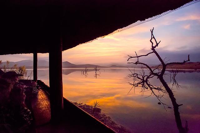 Photographers Creating Sunset Photos of the Mankwe Dam Tip 1: Most Important Travel with Other Experienced Photographers If wildlife photography is your passion and purpose for planning a safari and