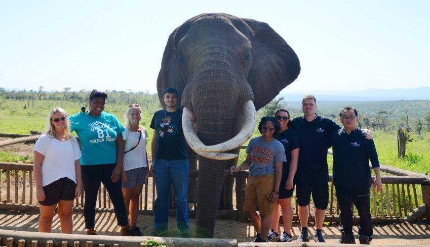 Day 4: Elephant interaction Today will be very exciting as we will make our way to a game reserve where you will get the chance to interact with elephants.
