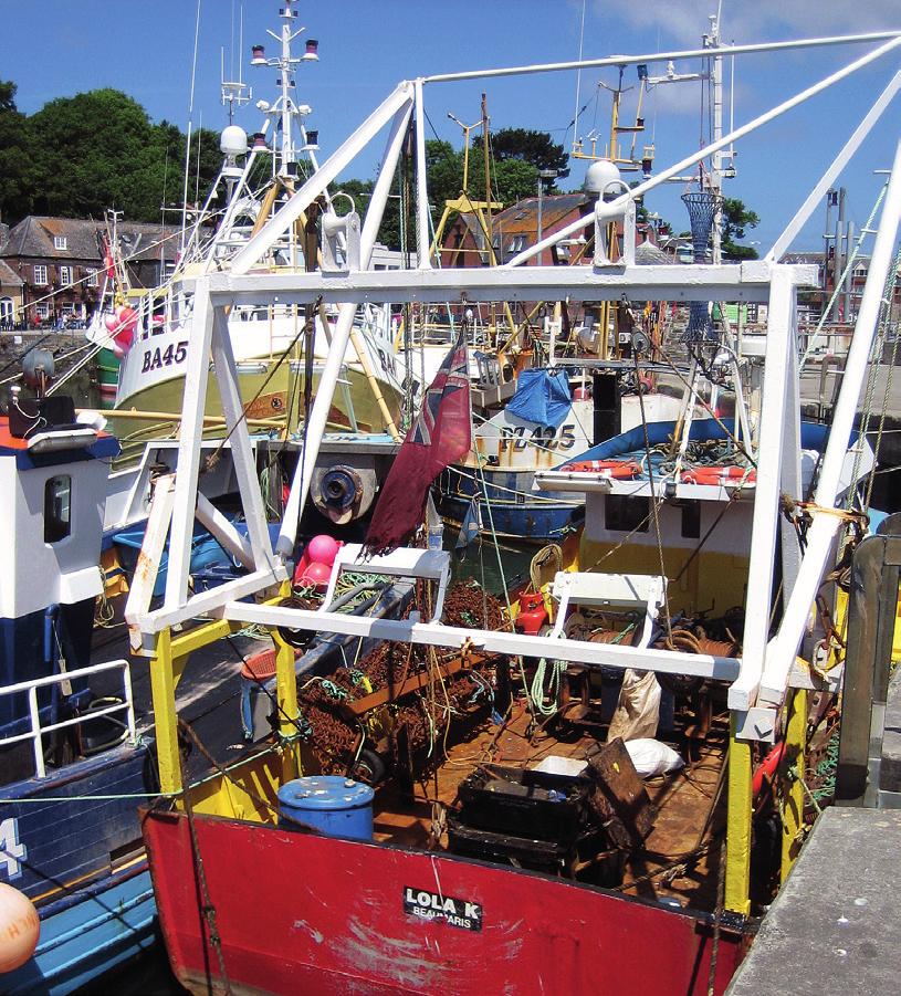 To date, the state of fish stocks has been made mainly on the basis of the 26 shellfish, demersal, and pelagic fish stocks for which scientific advice related to the maximum sustainable yield (MSY)