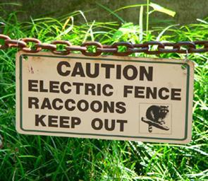 Electric Fencing Cost Analysis Type of fence Deer pressure Labor and material cost per foot 8-foot woven wire 7.5-foot plastic mesh Material cost per foot High $5 to $7 $2 to $4 High $1 to $1.50 $0.