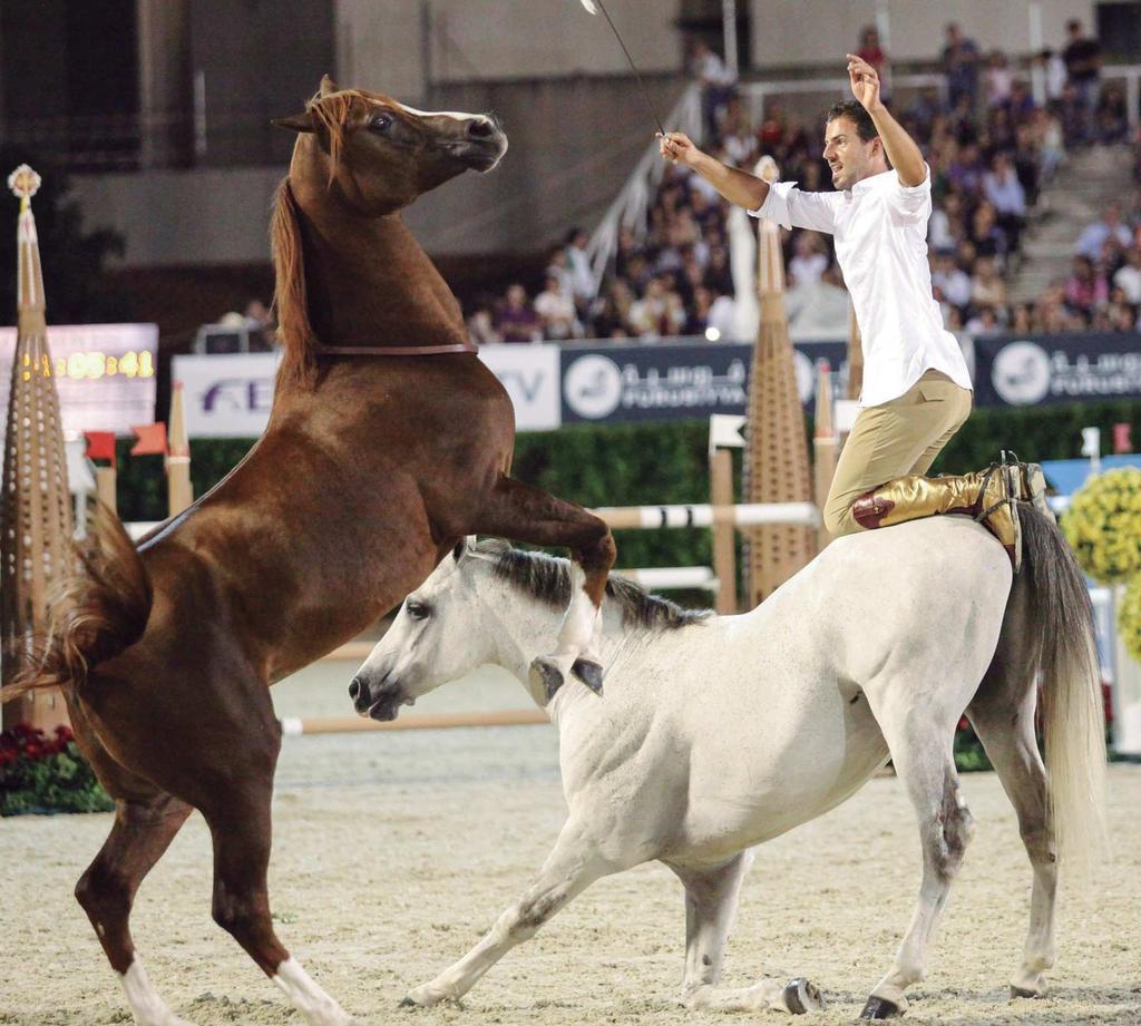 Shows The perfect complement to top-level competition Equestrian shows are an important and characteristic feature of the events programme at CSIO Barcelona.