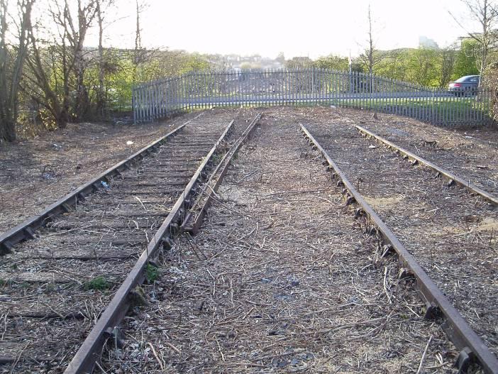 The raised road-bed of Quays Avenue, originally to support the future installation of a level crossing, sits just the other side of the fence.