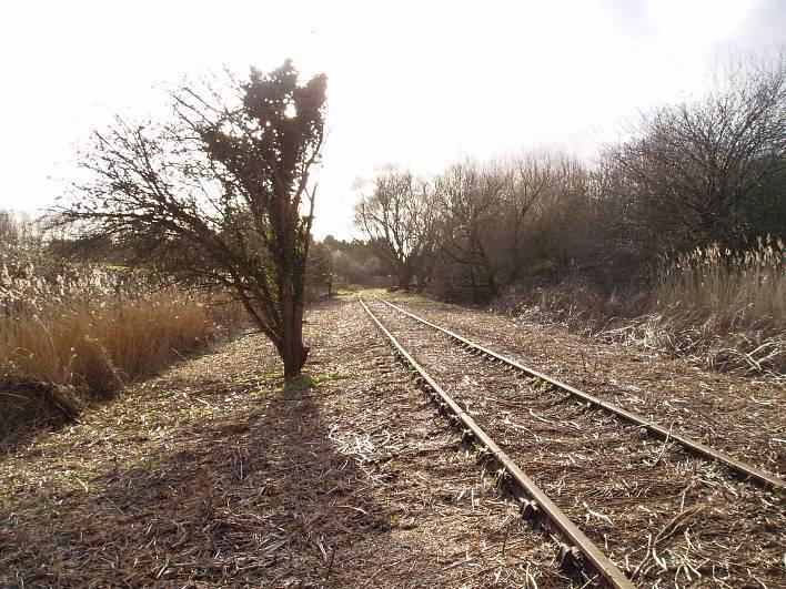 Before the M5 motorway and the Portbury Hundred were built, this track, known as The Drove, led from Portbury church to fields on Portbury Marsh.