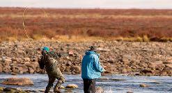 The rivers around Arctic Haven provide some of the best fly fishing opportunities worldwide for