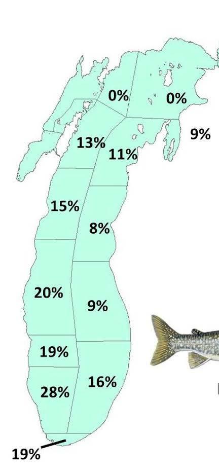 Lake trout in Lake Michigan Historically supported large commercial fishery % Wild lake trout, 2016 Extirpated in 1950 s Stocked since 1960 s No consistent
