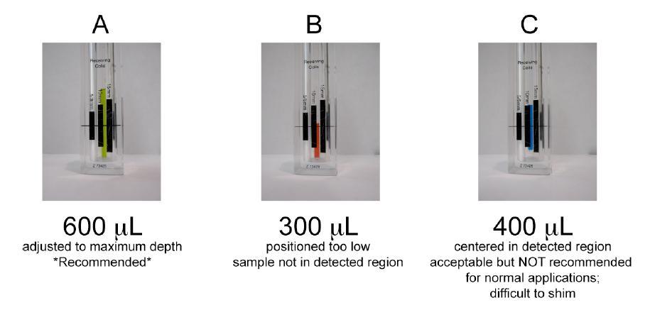 Figure 3. Pictures demonstrating a properly gauged sample (A), an improperly gauged sample (B) and acceptably, but not recommended, gauged sample.