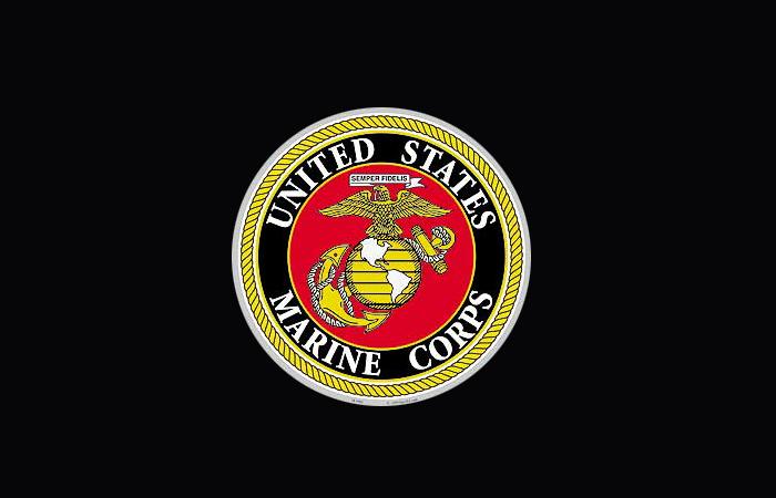 U.S. Marine Corps & Coast Guard (Worldwide) Disney Cruise Lines NASCAR Race Teams JR Motorsports, Hendrick Motorsports, Stewart