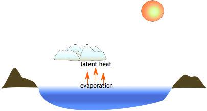 When it comes to understanding atmospheric processes, water vapor is the most important gas in