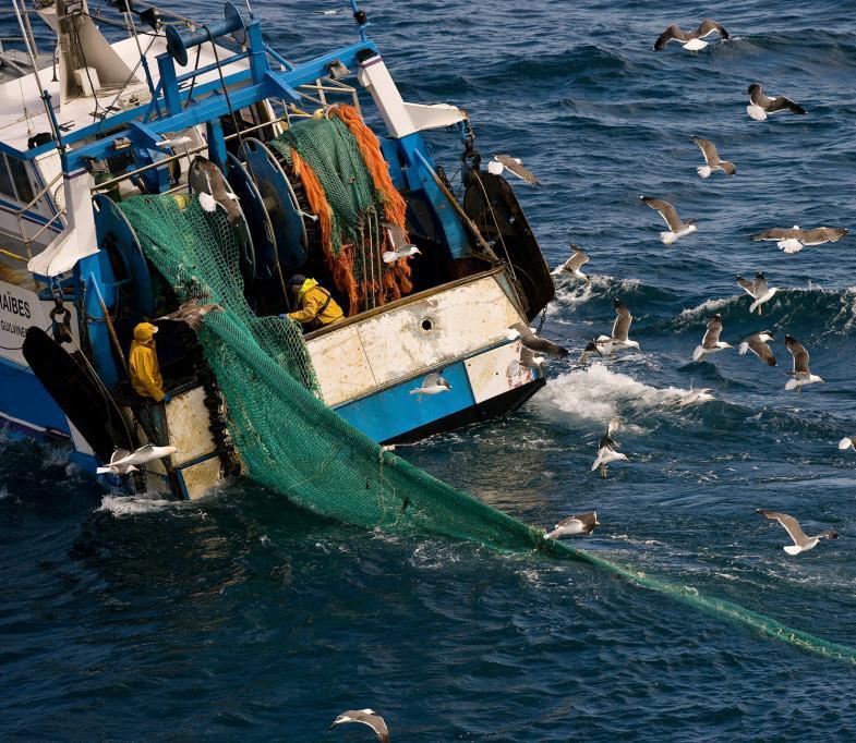 Opportunities and challenges for fishery by-products and