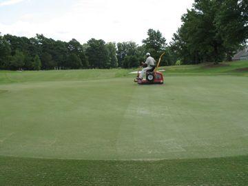 Rolling after topdressing & dragging