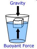 FLUID MECHANICS Fluid Statics BUOYANCY When a body is either wholly or partially immersed in a fluid, the hydrostatic lift due to the net