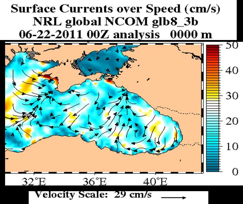 Figure 9. Surface-current field calculated using the NCOM model for 0000 UTC on 22 June 2011.