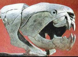 Sub-Phylum: Vertebrata Class: Agnatha (jawless fish, lampreys etc.
