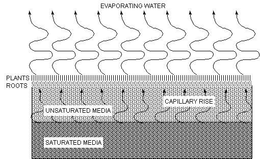 Page 7 Figure 5 Capillary Rise Evapotranspiration (ET) beds are based on the principal of capillary rise to allow water to evaporate with the help of plants (transpiration) without having the bed