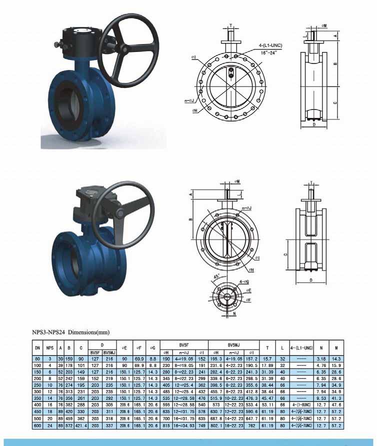 AWWA C 504 Type - Butterfly Valves PRODUCT