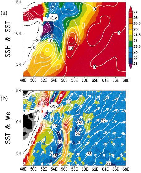 Observations of ocean-atmosphere interaction over cold filaments during summer monsoon (Vecchi et al.