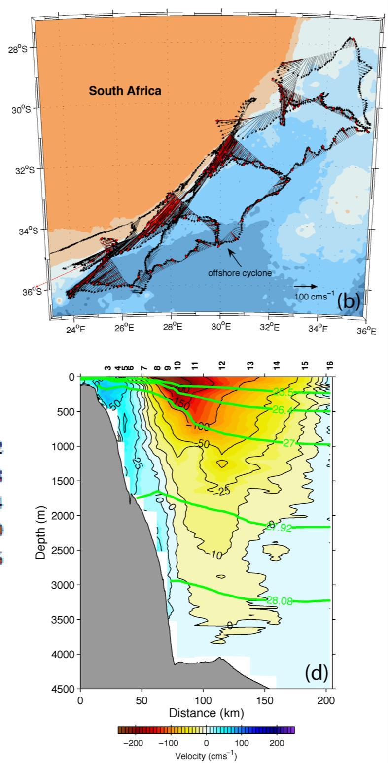 Agulhas Strong western boundary current > 200 cm/sec at surface ~ 100 km width Southward