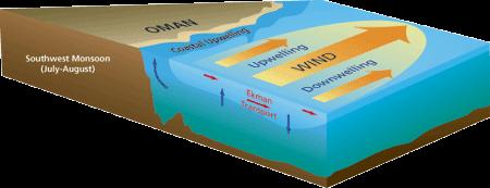 SW Monsoon - coastal effects Findlater Jet (only during SW monsoon) Honjo et al (1997) An overview of the winds and directly forced ocean response associated with the Southwest Monsoon is