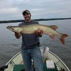 Woody Knis was in the other day, too, and said he caught two muskies. Hearing reports of other smaller muskies being taken too. Also have reports of occasional walleye while trolling or drifting.