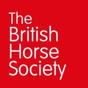 3 Explain the responsibilities of a Groom Working independently Ensuring the health, safety and welfare of the horse Monitoring all aspects of Quality of Life particularly for elderly, ill and