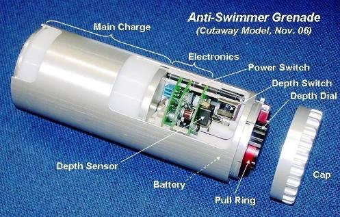 5-lb Main Charge ASG Prototype Status Detonation at 10 Depth in Water Tube (June