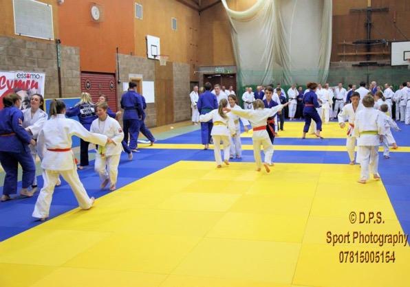 Development Where are we now? As both a sport and martial art, judo in Wales continues to be delivered in hired facilities, such as community centres, school halls and sport centres.