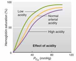 High acidity and low acidity can be caused by high PCO 2