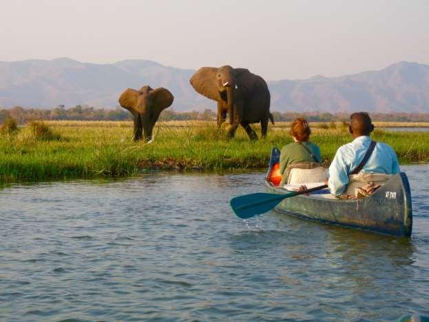 Not only can you take game drives in open vehicle, but also enjoy active game viewing ventures of walking and canoeing in Mana Pools with black rhino trekking and visiting San Bushmen rock art in the
