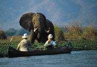 They are refilled by the swollen river during the rains and are home to populations of hippo, crocodiles and birds.