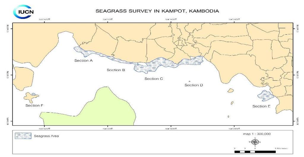 Overall Spatial Distribution of the Seagrass Bed and Area Mapped Seagrass