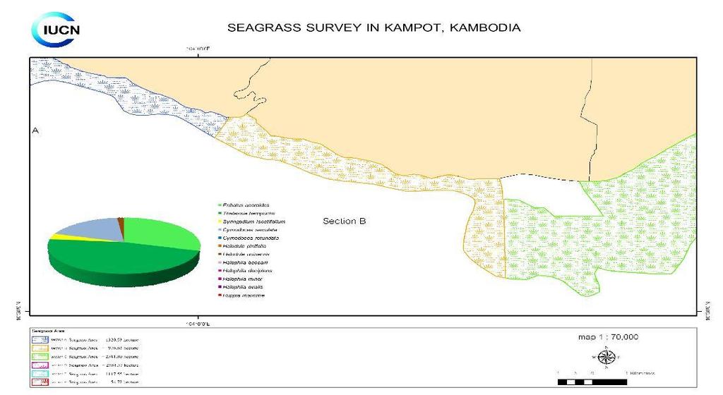 Detailed map: Cut Section B Species Composition: Cymodocea serrulata, Halodule uninervis,